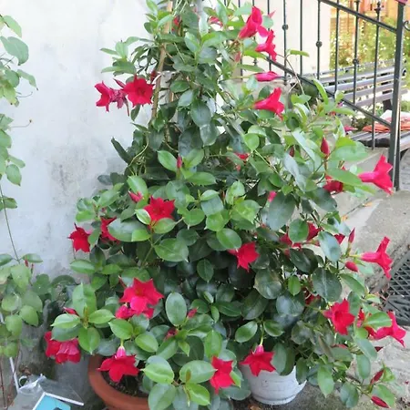 Crossartig Apartment