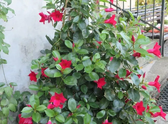 Crossartig Apartment