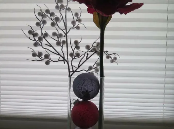 Crossartig Appartement Zwickau